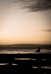 Surfer